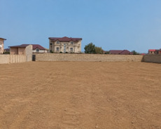 Nardaran bağları