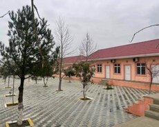 Saray qəs Obyekt