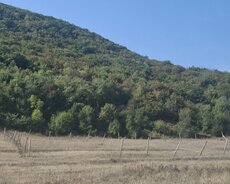 Şamaxı torpaq