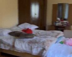 Albalılıqda həyət evi satılırrr