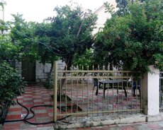 5 otaqlı həyət evi
