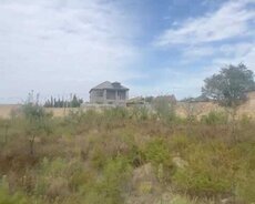 Saray, Siyavuş Aslan küçəsi
