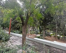 11 otaqlı mənzil
