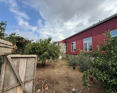Masazır, Şıxəli Qurbanov küçəsi