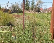Pirşağı bağları