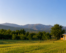 Torpag satilr