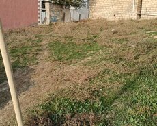 masazirda 2 sot kupcali torpaq sahesi satilir