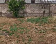 Buzovna Dənizə yaxın bag evi Sahibindən satılır