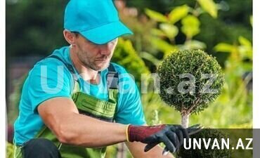 Bağban və suvaqçı işləri Bağban və suvaqçı işləri