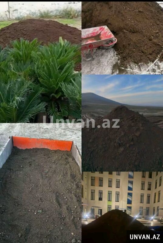 Qara torpağ peyin istənilən yerə sifariş verə bilərsiniz Əli Qara torpağ peyin istənilən yerə sifariş verə bilərsiniz Əli