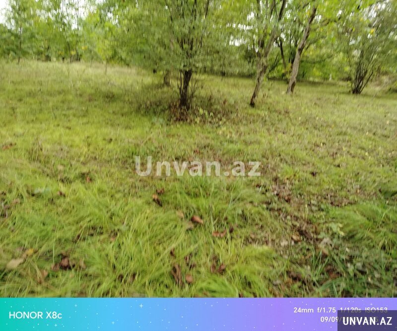 Quba rayon rustov kəndi 12 sot , Qubada Quba rayon rustov kəndi 12 sot , Qubada