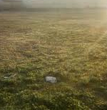 Təzə Bakı-saray-sumqayıt yolunun üstü. Saray qəbisrtanlığının yanı 40 sot , Abşeron rayonu Təzə Bakı-saray-sumqayıt yolunun üstü. Saray qəbisrtanlığının yanı 40 sot , Abşeron rayonu