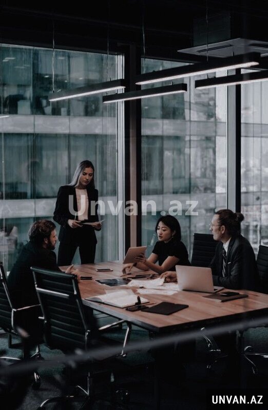 Beynəlxalq Holdinqdə əməkdaşlıq təklifi Beynəlxalq Holdinqdə əməkdaşlıq təklifi