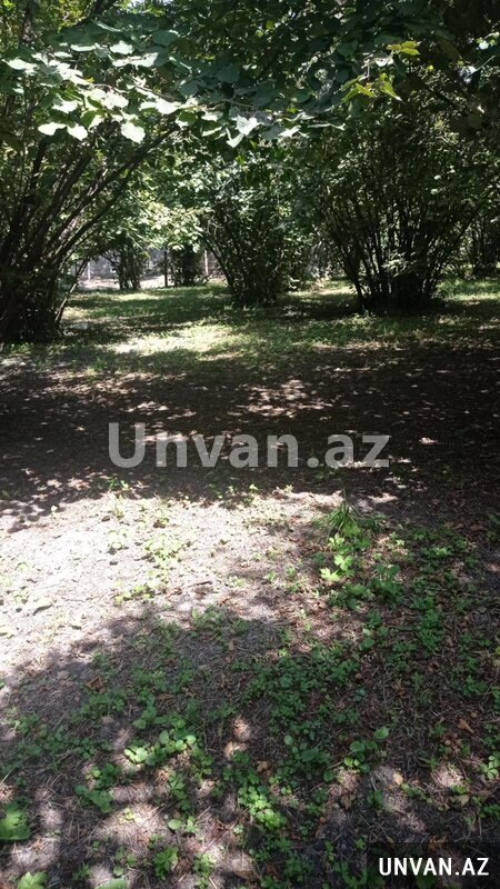 Qax Rayon Meşabaş kənd 45 sot , Qaxda Qax Rayon Meşabaş kənd 45 sot , Qaxda