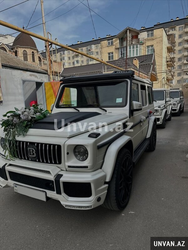 Toy Üçün qalik kortec teskili Toy Üçün qalik kortec teskili