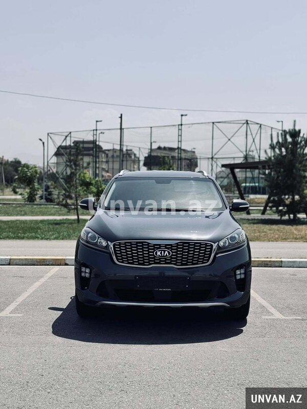 Sorenta icaresi Sorenta icaresi