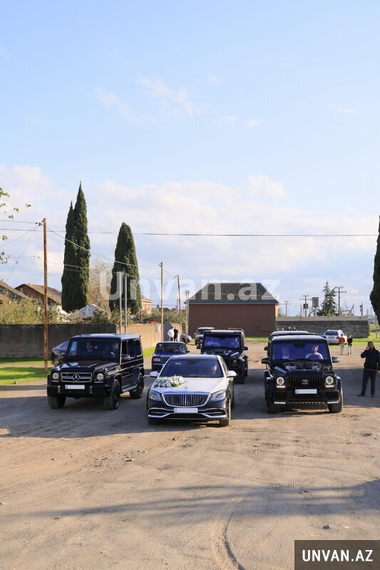 Toy Korteclerinin Sifarisi Toy Korteclerinin Sifarisi