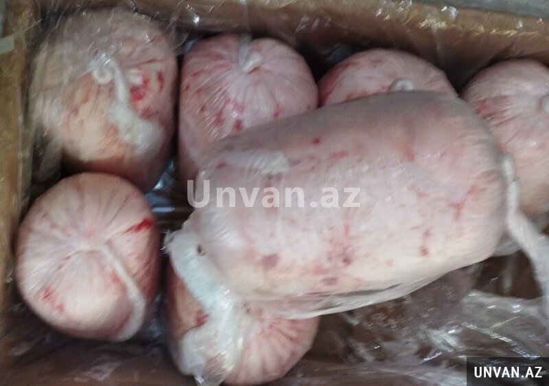 Quzu quyruğu Quzu quyruğu