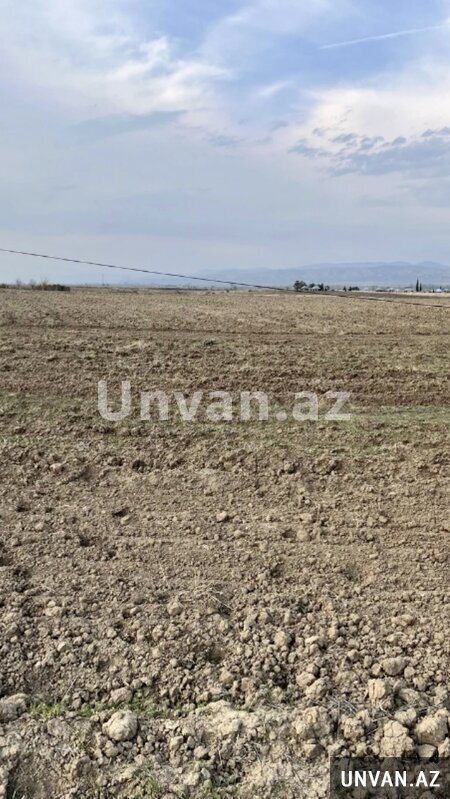 Turkan ges 1 otaq , Abşeron rayonu Turkan ges 1 otaq , Abşeron rayonu