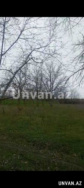 Qəbələ rayonu, Hacıalılı (Çarxana) kəndi Qəbələ Hava limanı ilə üzbəüz 30 sot , Qəbələdə Qəbələ rayonu, Hacıalılı (Çarxana) kəndi Qəbələ Hava limanı ilə üzbəüz 30 sot , Qəbələdə