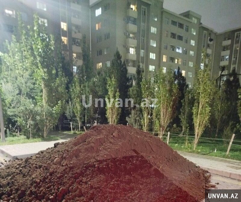 Qara Torpağ Peyin satşi bizdə ismayllı və Şamaxdan Qara Torpağ Peyin satşi bizdə ismayllı və Şamaxdan