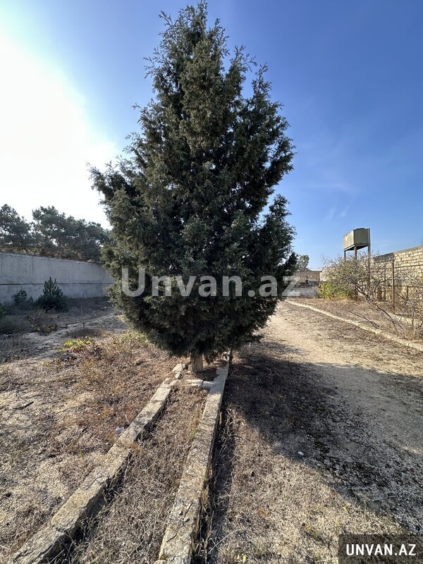 Mərdəkan Vətən restoranı 1 otaq , Xəzər rayonu Mərdəkan Vətən restoranı 1 otaq , Xəzər rayonu