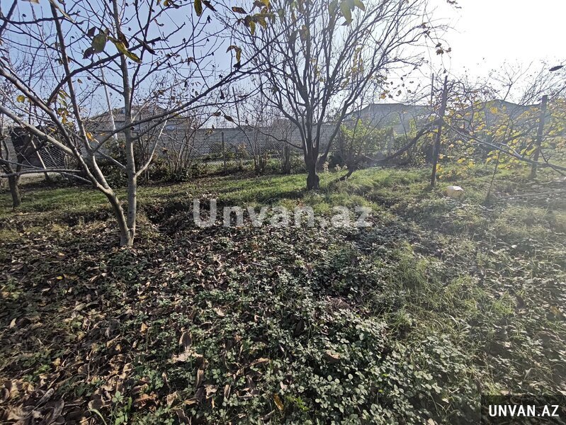 Xaçmaz şəhəri 40 sot , Xaçmazda Xaçmaz şəhəri 40 sot , Xaçmazda