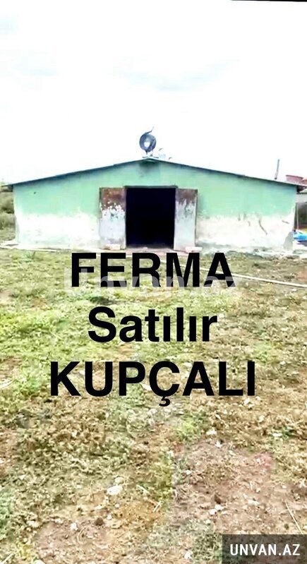 Xacmaz Qargaliq kendi 4 otaq , Xaçmazda Xacmaz Qargaliq kendi 4 otaq , Xaçmazda