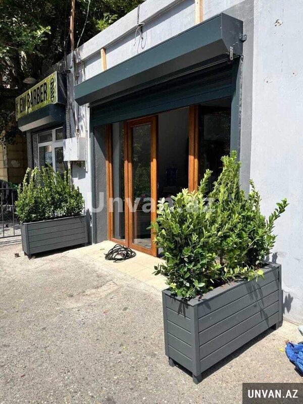 Taxta dipçək Taxta dipçək