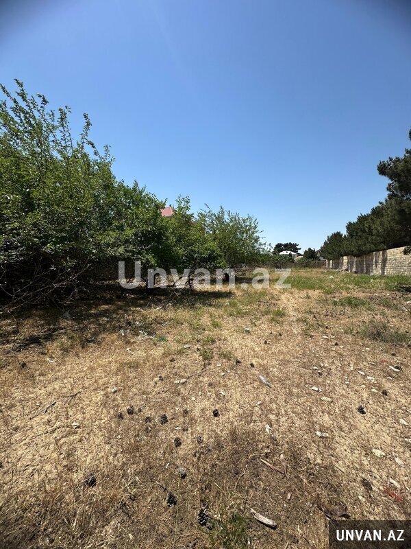 Bilgəh qəsəbəsi 25 sot , Sabunçu rayonu Bilgəh qəsəbəsi 25 sot , Sabunçu rayonu