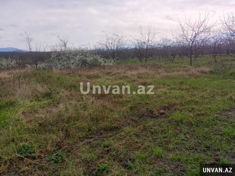 Quba Rayonunun Pirvahid Kəndində 20 otaq , Qubada Quba Rayonunun Pirvahid Kəndində 20 otaq , Qubada