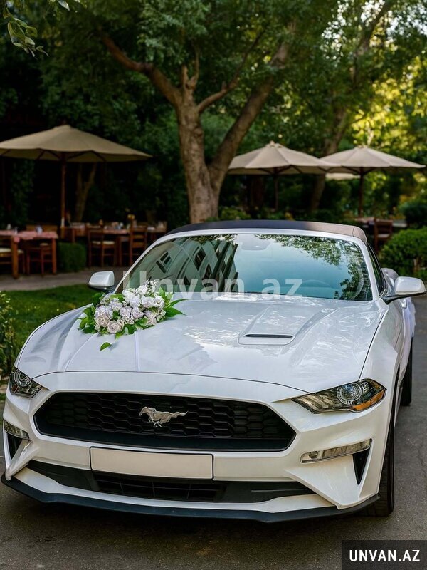 Mustang toy masin icaresi Mustang toy masin icaresi