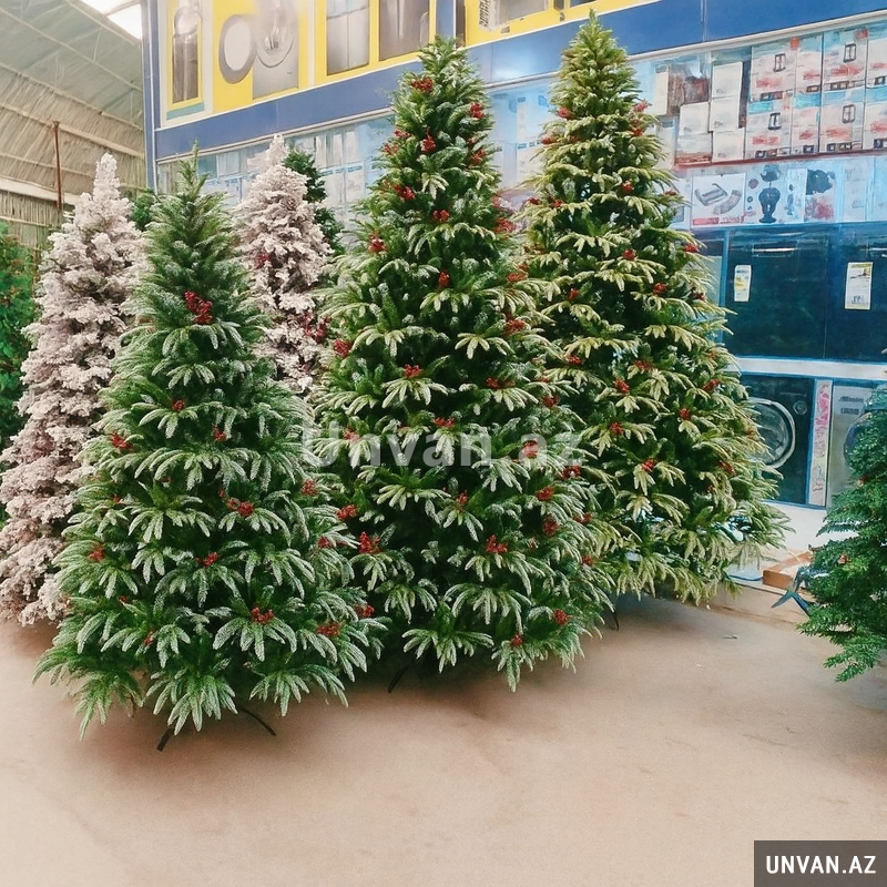 Yeni İl Üçün Ən Populyar Yolkalar – Tezə Mallar, Birbaşa Sat Yeni İl Üçün Ən Populyar Yolkalar – Tezə Mallar, Birbaşa Sat