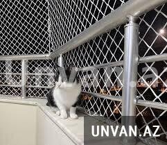 Pişik üçün təhlükəsizlik torları Pişik üçün təhlükəsizlik torları