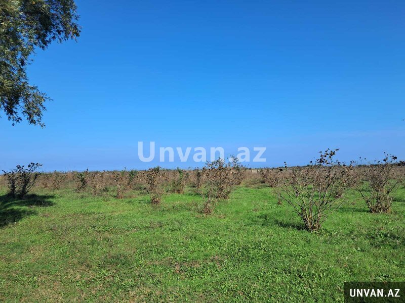 Xaçmaz şəhəri 200 sot , Xaçmazda Xaçmaz şəhəri 200 sot , Xaçmazda