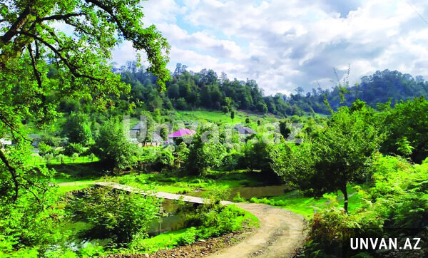 Lənkəran turu Lənkəran turu