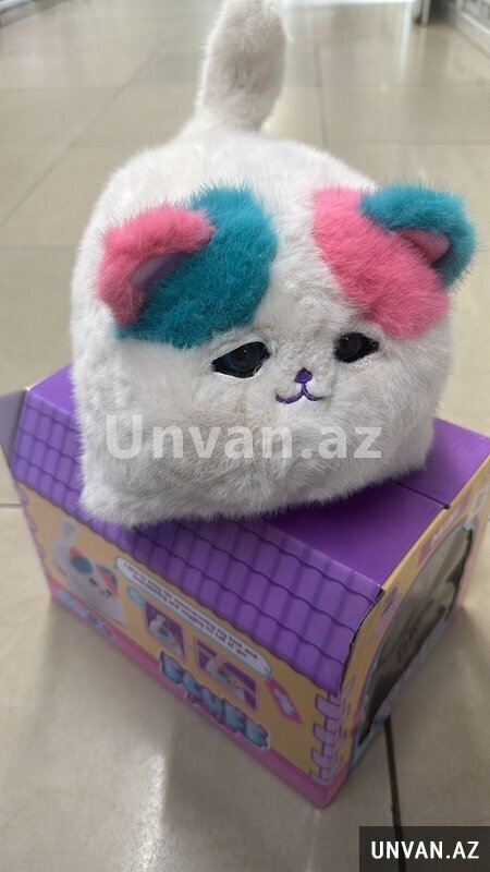 Hissiyatlı Yumușaq Piṣik Hissiyatlı Yumușaq Piṣik