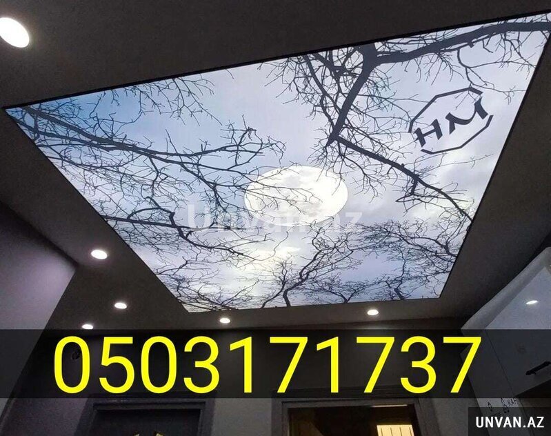 Dartma tavan dartma tavanlar Dartma tavan dartma tavanlar