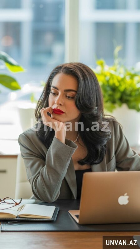 Məlumat Meneceri Məlumat Meneceri