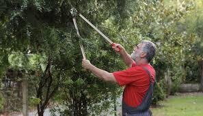 Bağ evlərinin təmizlənməsi Bağ evlərinin təmizlənməsi