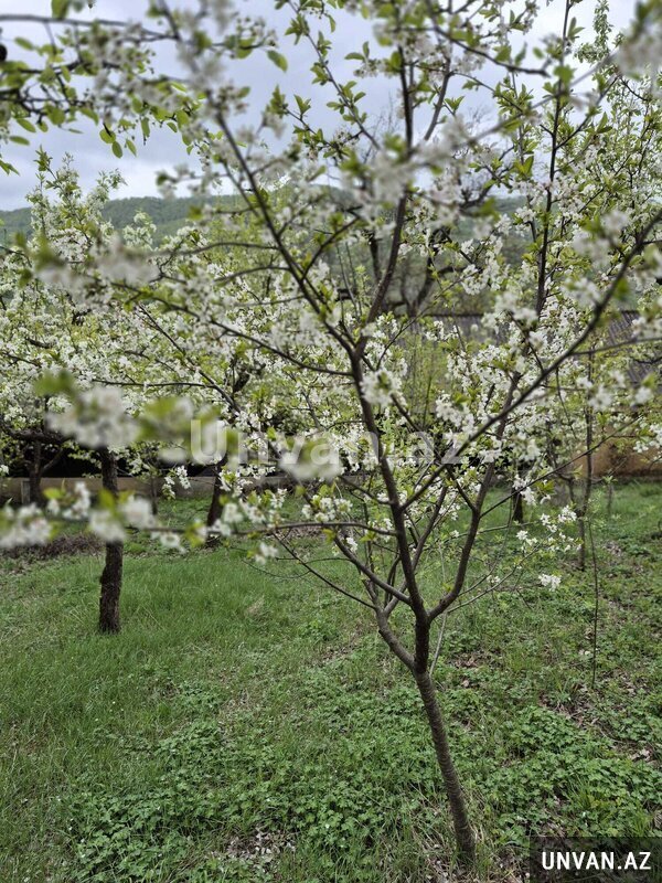 Torpaq satılır Torpaq satılır