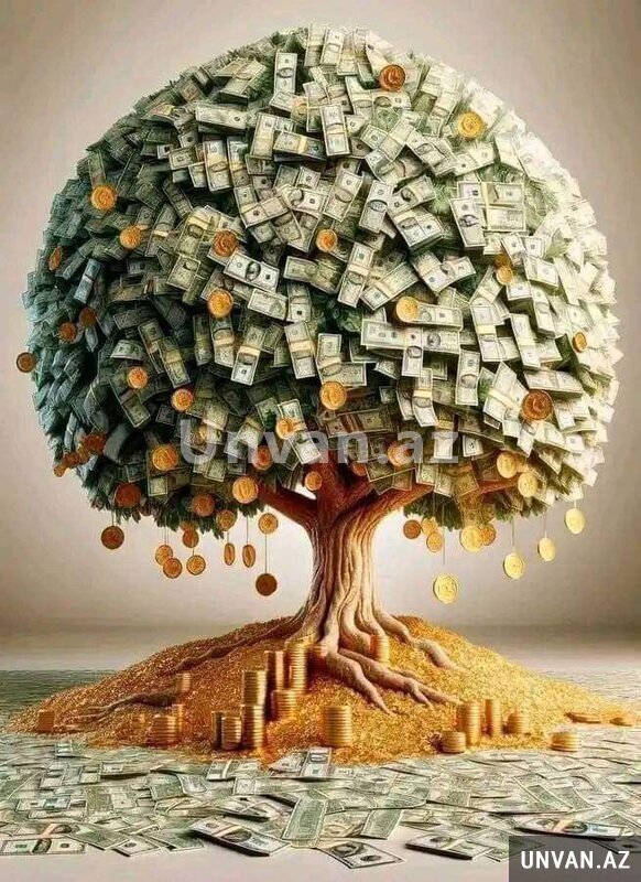 Gənclərə biznes əməkdaşlıq təklifi Gənclərə biznes əməkdaşlıq təklifi