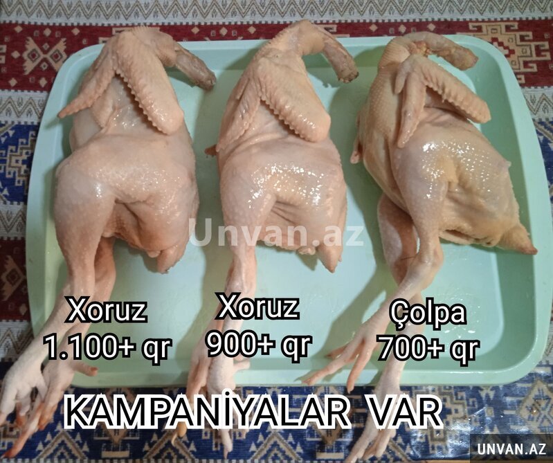 Çolpa Əti 900+ qramlıq Çolpa Əti 900+ qramlıq