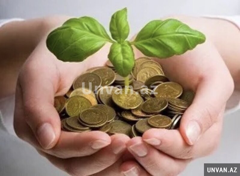 Ali təhsilli gənclərə biznes əməkdaşlıq təklifi Ali təhsilli gənclərə biznes əməkdaşlıq təklifi