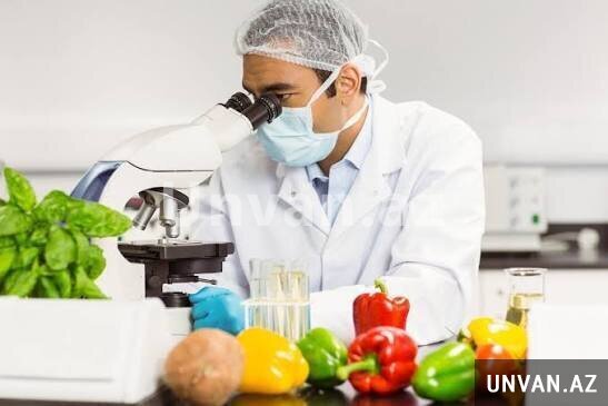 Qida Mühəndisi Qida Mühəndisi