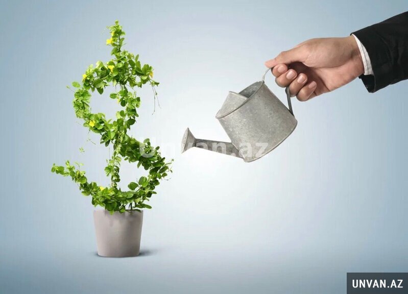 Gənclər üçün biznes əməkdaşlıq imkanı Gənclər üçün biznes əməkdaşlıq imkanı