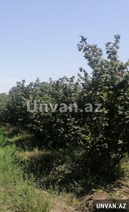 Xaçmaz rayonu Xudat 1 otaq , Xudatda Xaçmaz rayonu Xudat 1 otaq , Xudatda