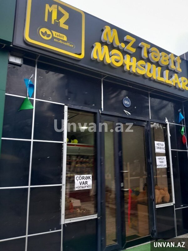 artiq satisda artiq satisda