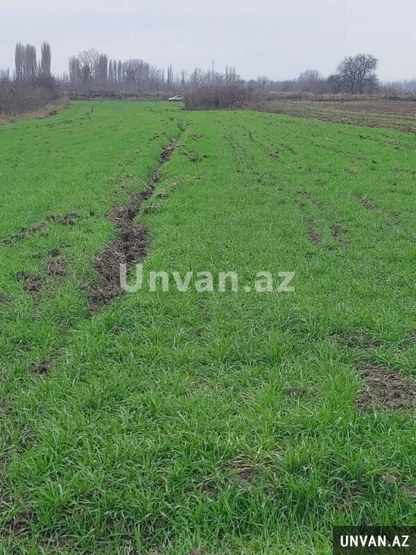 Xaçmaz rayonu çaxmaqlı 150 sot , Xaçmazda Xaçmaz rayonu çaxmaqlı 150 sot , Xaçmazda