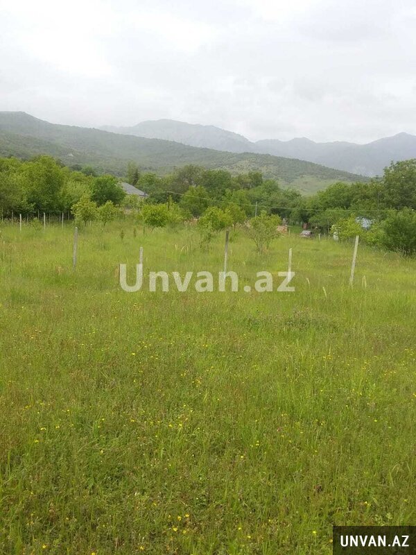 Ismayilli rayon 50 sot , İsmayıllıda Ismayilli rayon 50 sot , İsmayıllıda